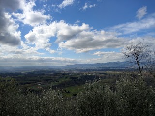 Tuscan Villa