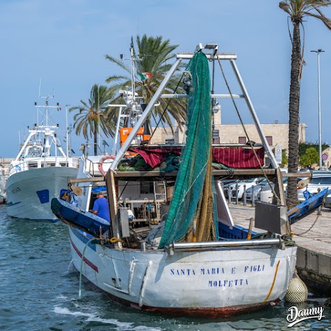 Ufficio Informazione e Accoglienza Turistica Molfetta