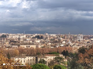 NCC SHUTTLE TAXI/ROMA CITY TOUR