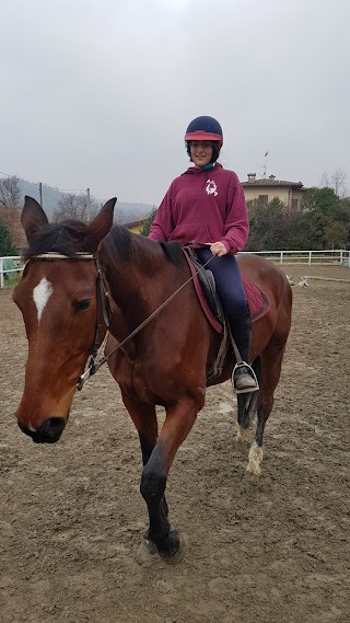 Associazione equestre terre del Panaro