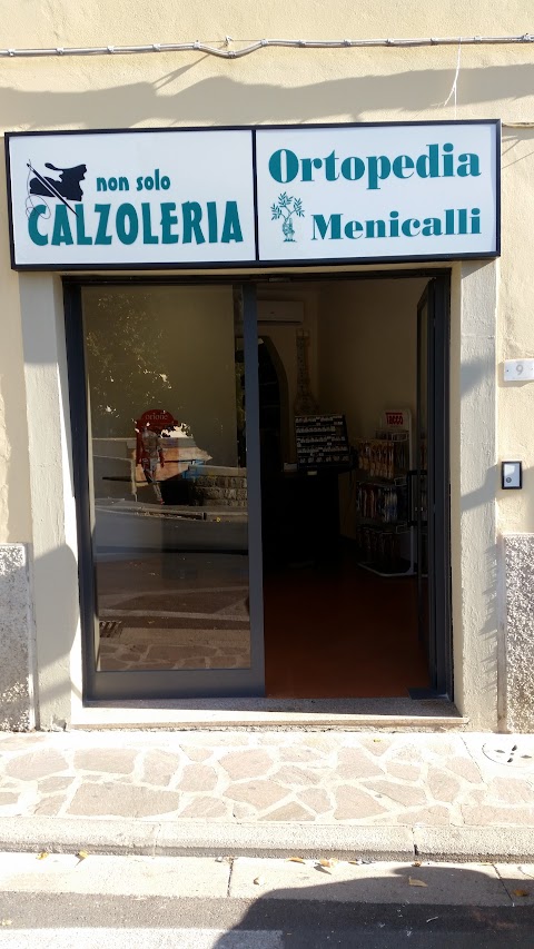 Non solo calzoleria