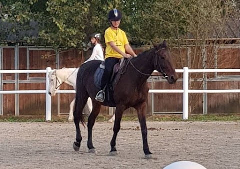 Centro Equestre - Il Primo Cavaliere