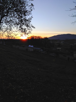 Azienda agricola l'uovo sano