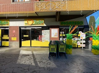 Todis - Supermercato (Roma - via Appia-Pignatelli)