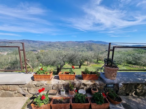 Podere Belvedere Tuscany