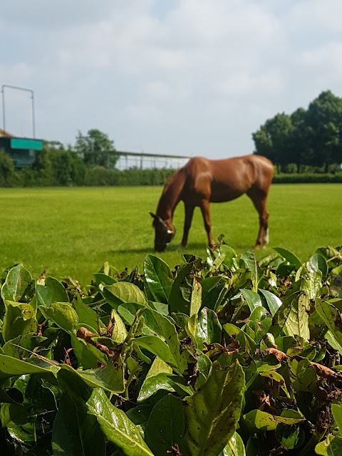 Centro Equestre Ninfa