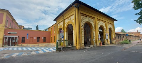 Ospedale Psichiatrico Provinciale Luigi Lolli