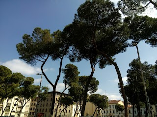 Liceo ginnasio Dante