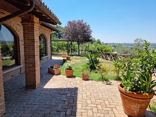 Agriturismo Frangellini