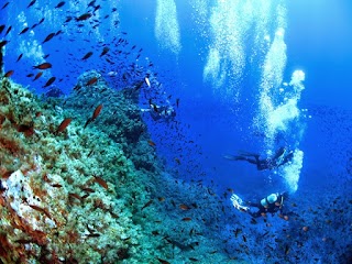 A.S.D. Blunauta Diving Center Milazzo