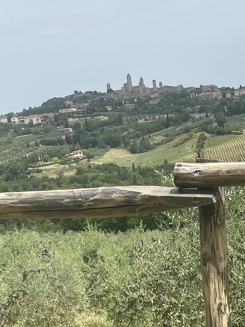 Agriturismo Il Casolare di Bucciano