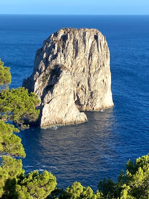 La Guida Sorrento - Tour guidati a Napoli e dintorni