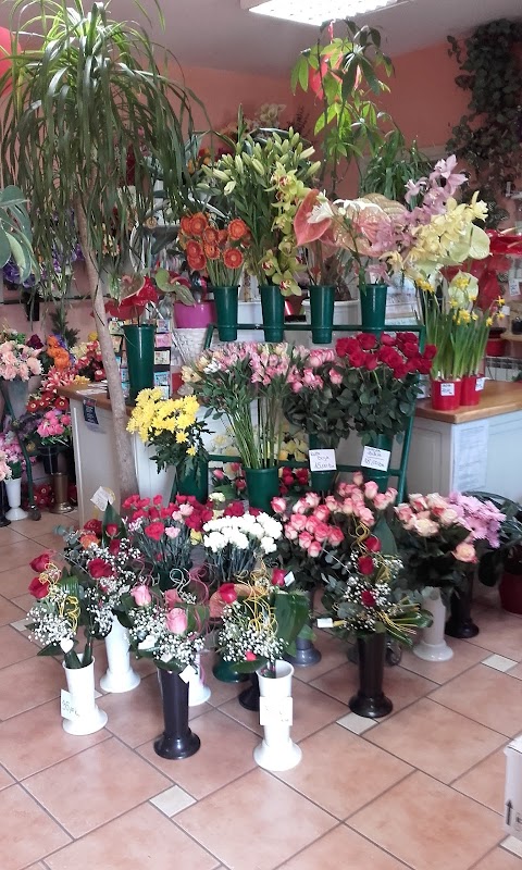 Flower shop "Morena"