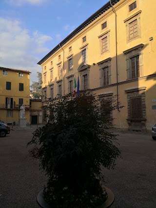 Arena di Piazza Guidiccioni / Estate Cinema