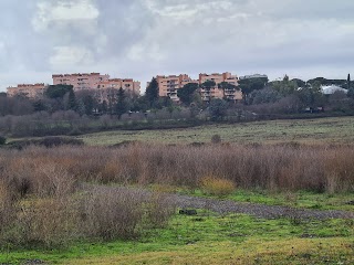 Heaven Sporting Club - Torraccia