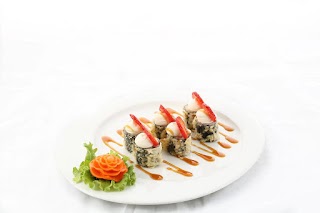 Sushi rolls premium quality