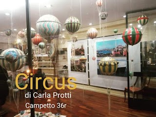 Circus di Carla Protti
