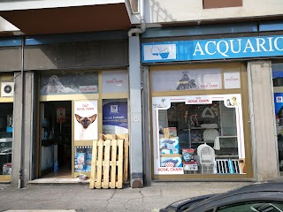 Acquario