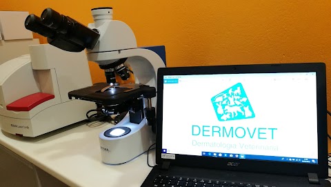 DERMOVET dermatologia veterinaria a Verona