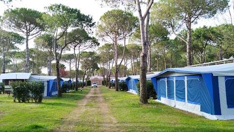 Den Caravan Holidays Union Lido