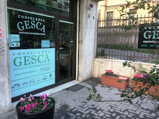 Consulenza Gesca