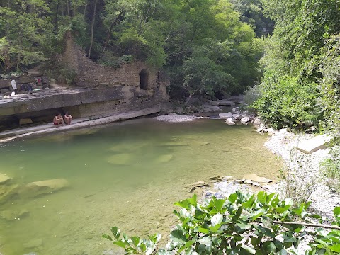 Cascata Gorgoni