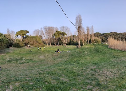 Parco del Canale dello Stagno