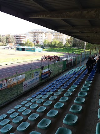 SSD Colleferro Rugby 1965 A.R.L.