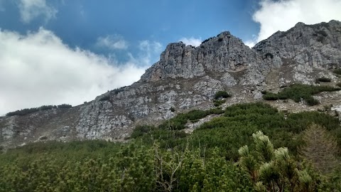 Famiglia Cooperativa Di Pinzolo