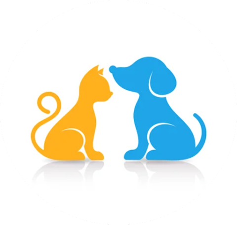 Pet Sitter Polizzi Generosa