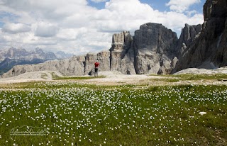 Trekupitaly