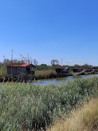 Parco Regionale del Delta del Po (Valli di Comacchio)