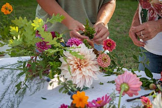 Viale Flower Farm