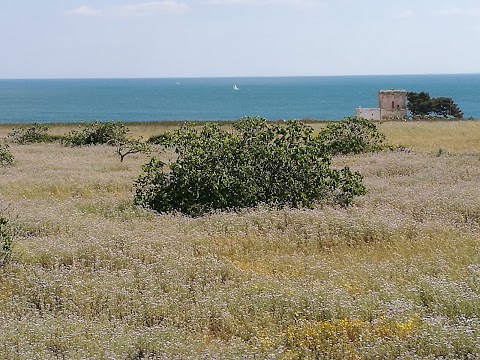 Sporting Club Torre Incina