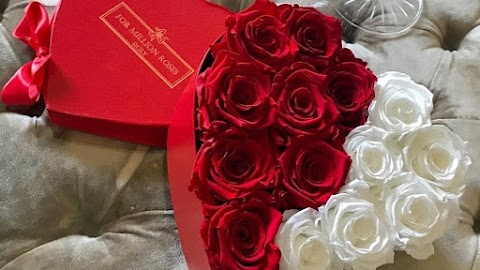 For Million Roses Sicily - Luxury Flowers Boxes