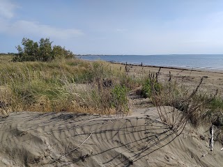 Spiaggia degli Alberoni