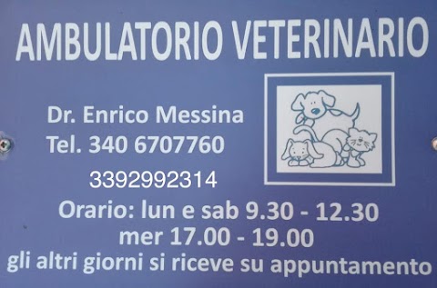 ambulatorio veterinario dott. Messina Enrico