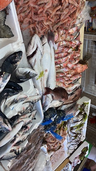 Sicilia fish