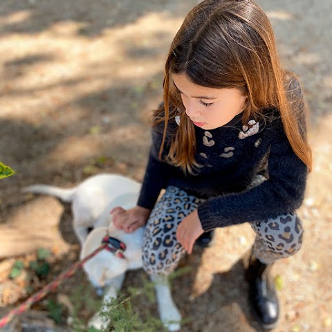 La Bottega dei Piccoli di Setola Dalila Maria Egizia