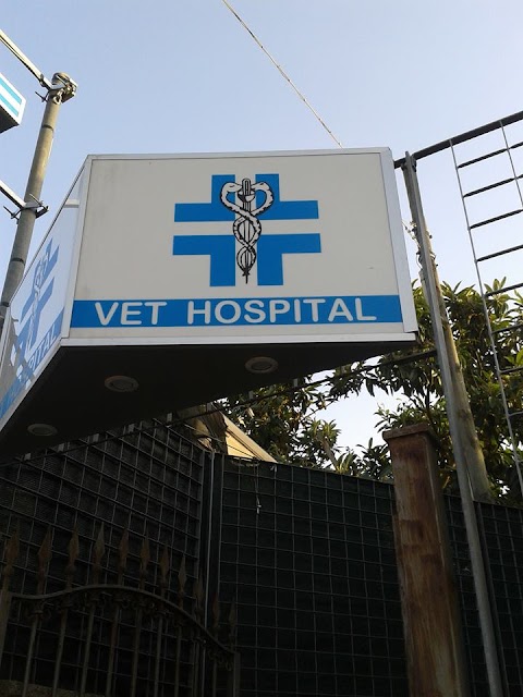 Ambulatorio Veterinario Vet Hospital Sorrento