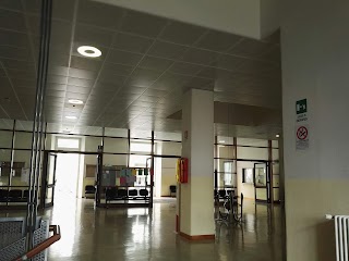 Liceo Scientifico Statale "Angelo Messedaglia"