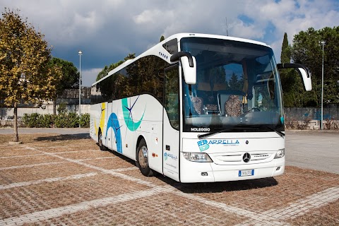 Barrella Viaggi e Turismo