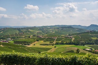 Meet Piemonte