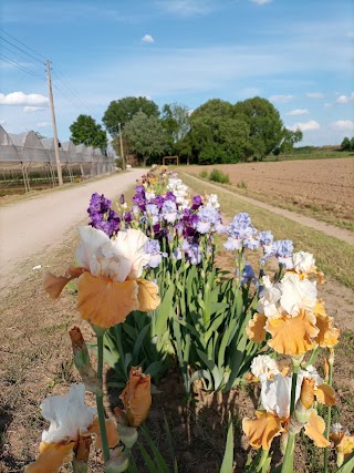 Societa' Cooperativa Agricola Ca' Magre