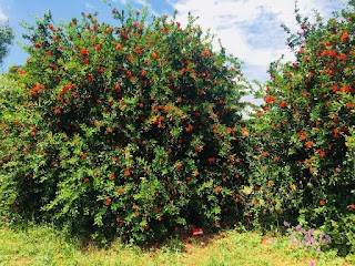 Parco giochi ROMAEST