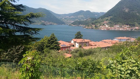 L'Isola di Ribola