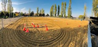 Az. Agricola Biologica ArtFarm - Centro Equestre