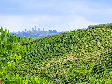 Agriturismo il Girasole San Gimignano