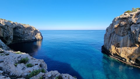 Centro cinotecnico di capo rama