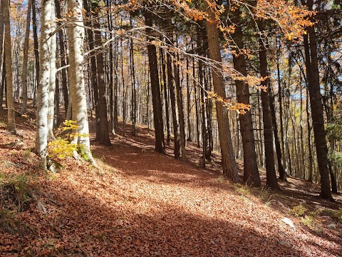 Rifugio del Firenze Ninfa